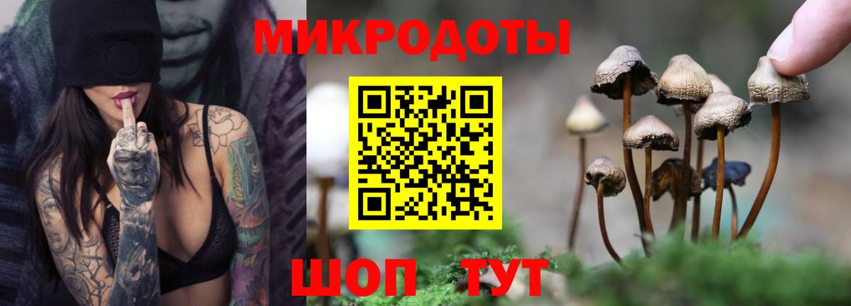 Славянск-на-Кубани  Галлюциногенные грибы прущие грибы  Вход с VPN 